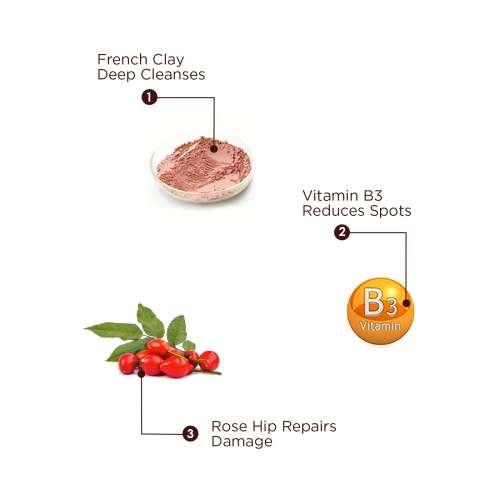 The Skin Story: French Red Clay & Rose Hip Facewash (Oil & Pollution Control) - 100 gm