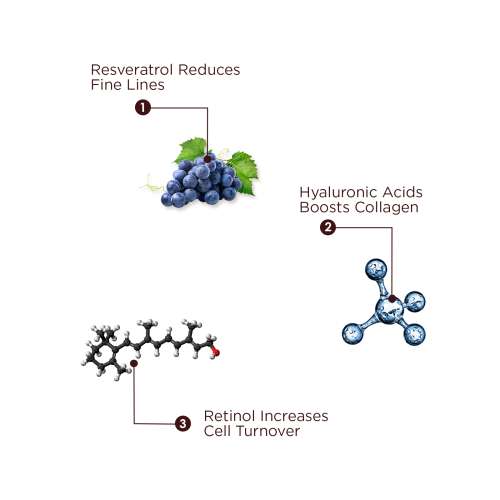 The Skin Story: 5 in 1 Daily Skin Defence - 40ml The Skin Story: 5 in 1 Daily Skin Defence - 40ml