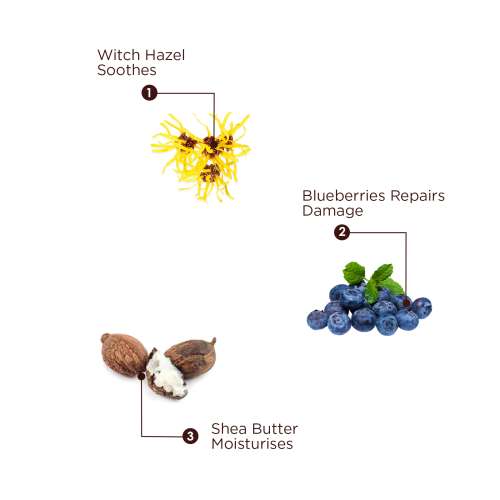The Skin Story: Shea Butter & Blueberry Facewash - Revitaliser - 100 ml