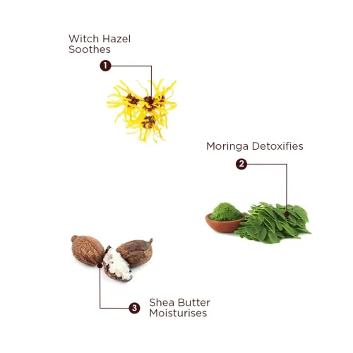 The Skin Story: Moringa Care Duo ( Face Wash + Face Pack)
