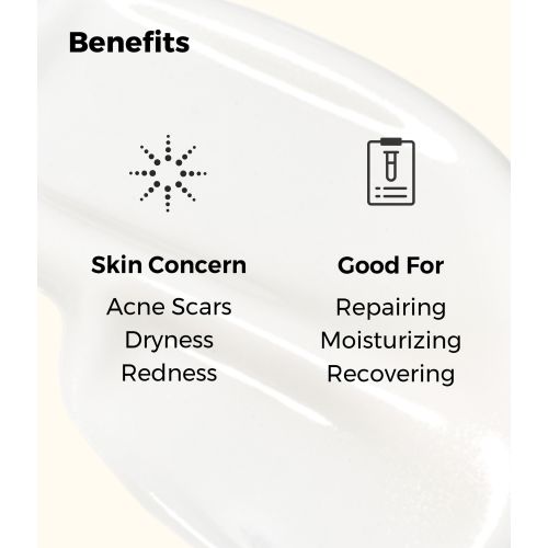 COSRX: Snail Mucin 92  All In One Cream | Deep Hydration | For Skin  Moisturising | Snail Mucin | Barrier Repair | 100g