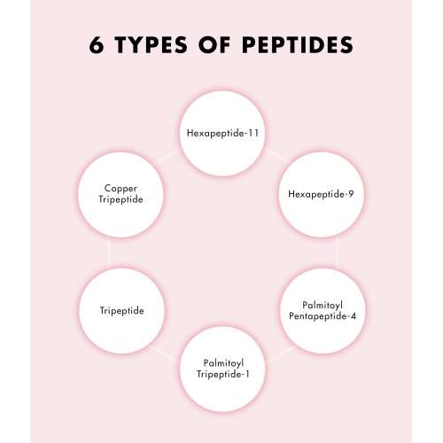 SNP PREP: Peptaronic Toner - 320ml