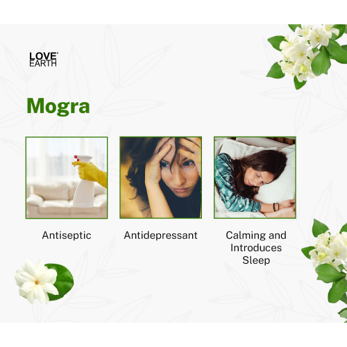 Love Earth: Reed Diffuser (Mogra) - 30ml
