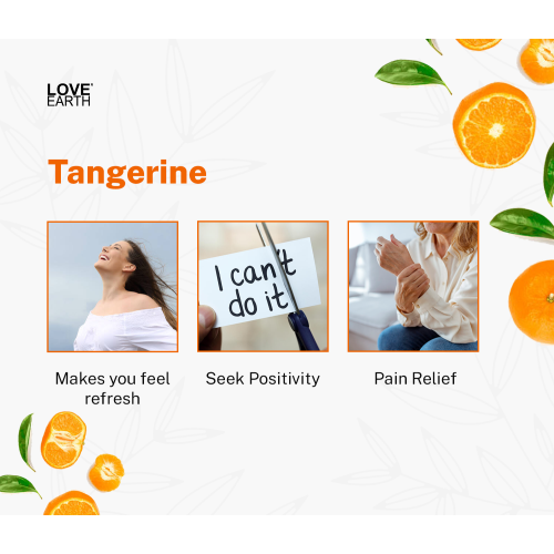 Love Earth: Reed Diffuser (Tangerine) - 30ml
