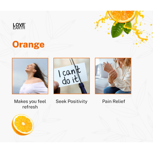 Love Earth: Reed Diffuser (Orange) - 30ml