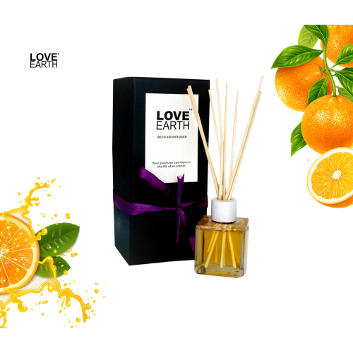Love Earth: Reed Diffuser (Orange) - 30ml