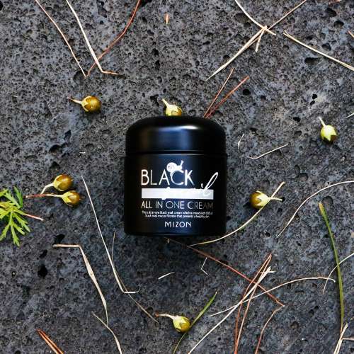 Mizon: Black All-In-One Snail Cream -75ml