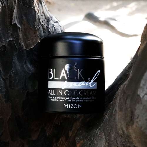 Mizon: Black All-In-One Snail Cream -75ml