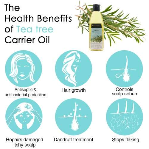 Soulflower: Tea Tree Scalp and Anti Dandruff Hair Oil - 120ml