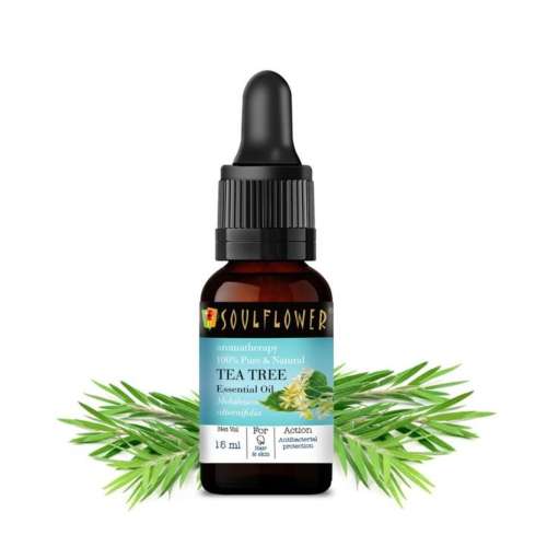 Soulflower: TeaTree Essential Oil - 15ml