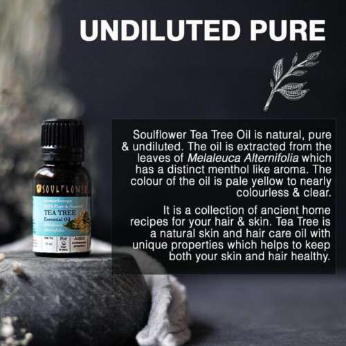 Soulflower: TeaTree Essential Oil - 15ml