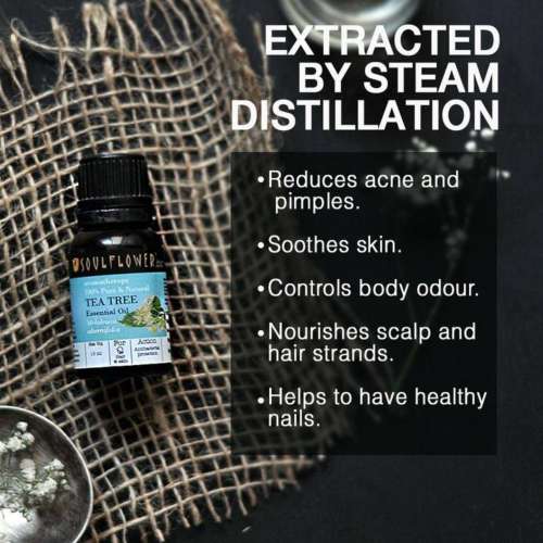 Soulflower: TeaTree Essential Oil - 15ml