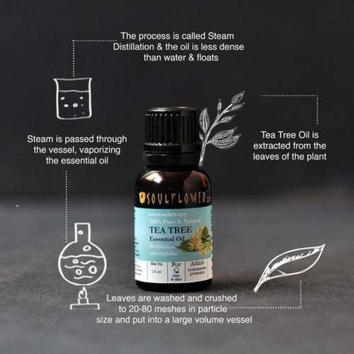 Soulflower: TeaTree Essential Oil - 15ml