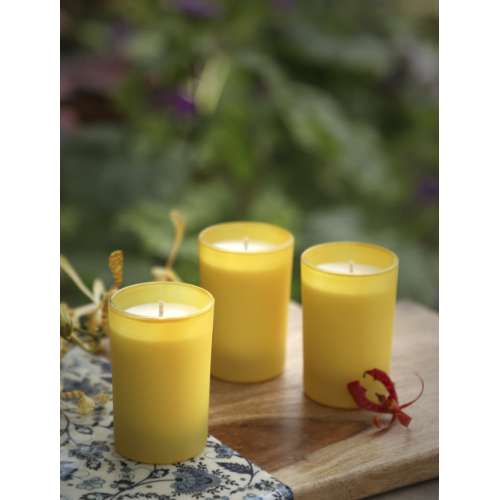 Niana: Orchid Candle - 300gm