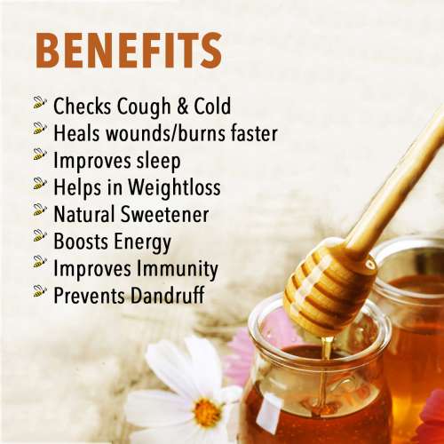 Nutriorg: Certified Organic Honey - 250 gm ( Pack of 2)