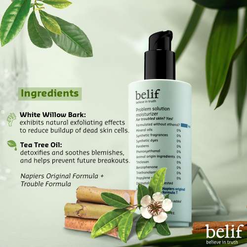 Belif: Problem Solution Moisturizer