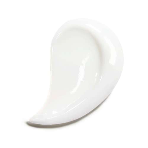 Belif: Problem Solution Moisturizer