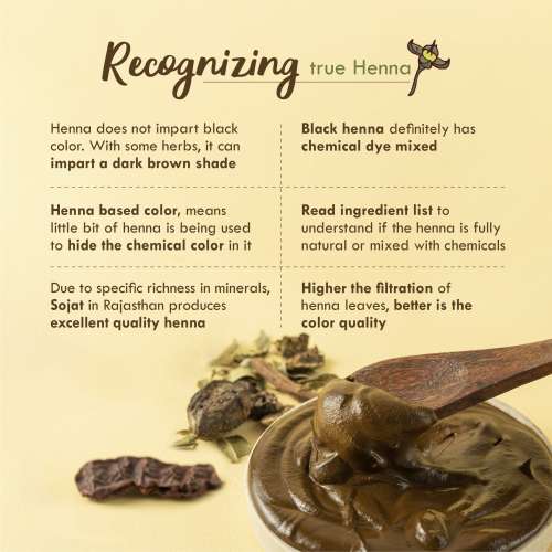 Nat Habit: Ready-to-Apply Henna Paste - 220gm