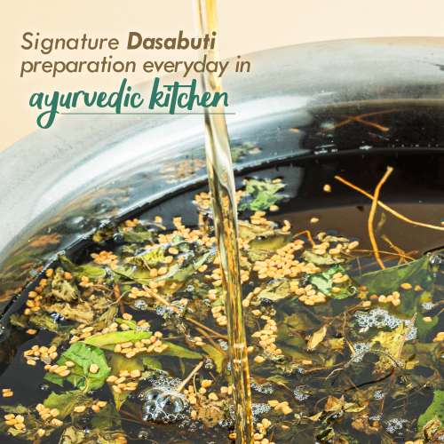 Nat Habit: TriLeaf Hair Fall Control Summer Dasabuti Hair Oil - 100 ml