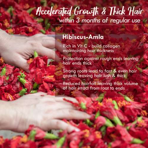 Nat Habit: Hibiscus Amla Hair Growth Summer Dasabuti Hair Oil - 100 ml Nat Habit: Hibiscus Amla Hair Growth Summer Dasabuti Hair Oil - 100 ml