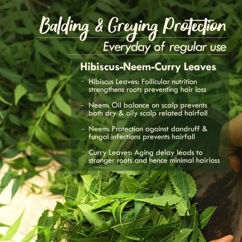 Nat Habit: Men's Revital Summer Dasabuti Hair Oil - 100 ml Nat Habit: Men's Revital Summer Dasabuti Hair Oil - 100 ml