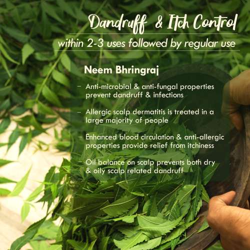 Nat Habit: Neem Bhringraj Anti Dandruff Summer Dasabuti Hair Oil - 100 ml