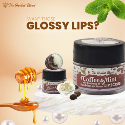 The Herbal Blend: Coffee Mint Lip Scrub - 10gm The Herbal Blend: Coffee Mint Lip Scrub - 10gm