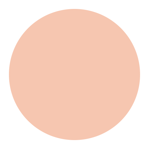 Color Chemistry: Cream Concealer - Meadow - 2.98 gm
