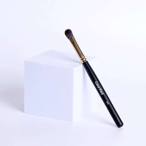 Wearified: Absolute Essentials Makeup Brushes - Set Of 12 with Face and Eyes with Transparent Pouch