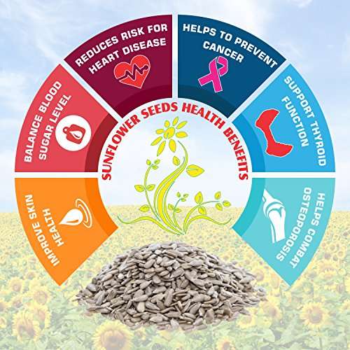 Nutraj: Sunflower Seeds - Pack of 3 - 200gm each