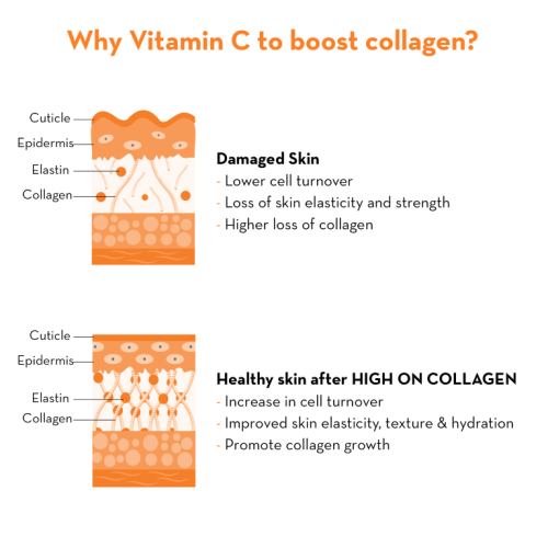 Plush: High on Collagen Face Serum - 25ml