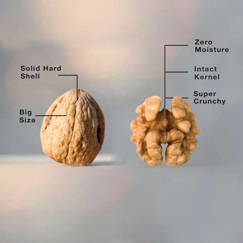 The Daily Nut Co.: Premium Walnuts - Pack of 3 - 200gm each