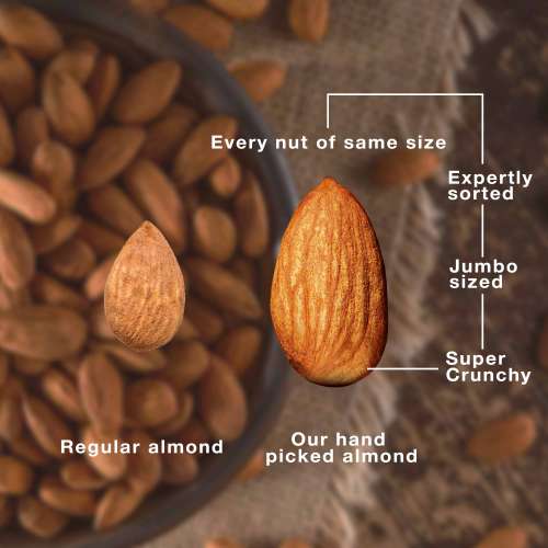 The Daily Nut Co.: California Almond & Walnut Wisdom Combo - Pack of 2 - 200gm each