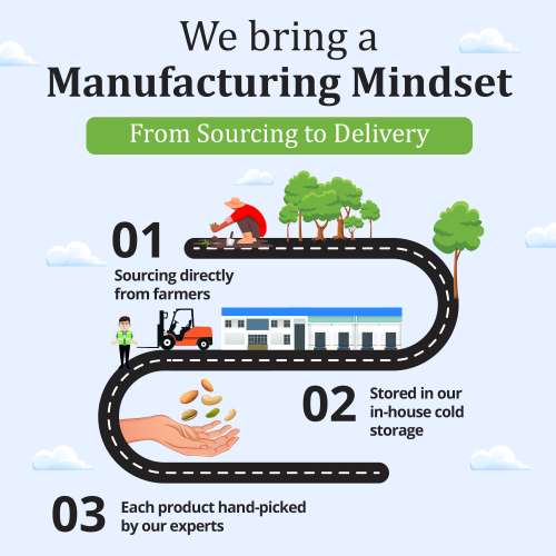 The Daily Nut Co.: Premium Figs/Anjeer - Pack of 2 - 250gm each