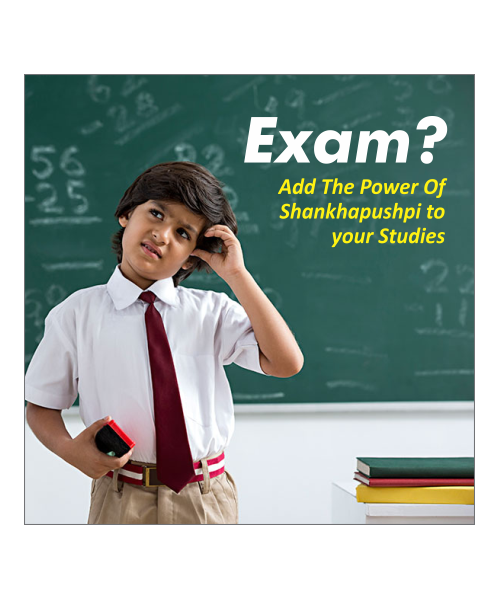 Baidyanath: Shankhapushpi Syrup- Helps to improve memory and enhance concentration| For Kids and Adults - 450 ml