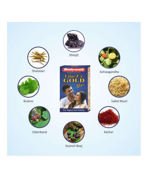 Baidyanath: Vita Ex Gold Plus -Herbal Formulations with Shilajit and Swarna Bhasma |Helps maintain vitality and stamina- 20 Capsules