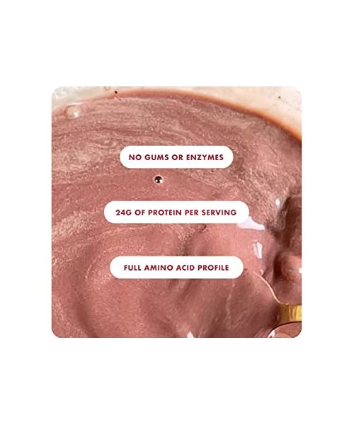 COSMIX: No-nonsense Plant Protein ( Cocoa Beet ) - 500 gm