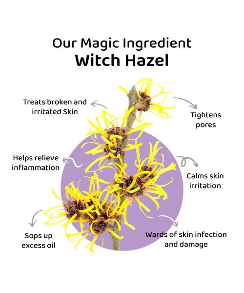 Elitty Beauty: Eye Gotta Feeling (Lilac Dreams, Fading Love, High Maintenace, Honeycomb) - G.O.A.T Combo