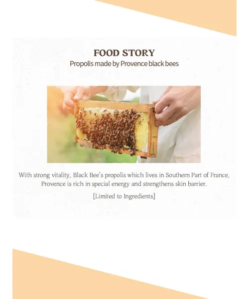 Skinfood: Royal Honey Propolis Enrich Emulsion - 60ml