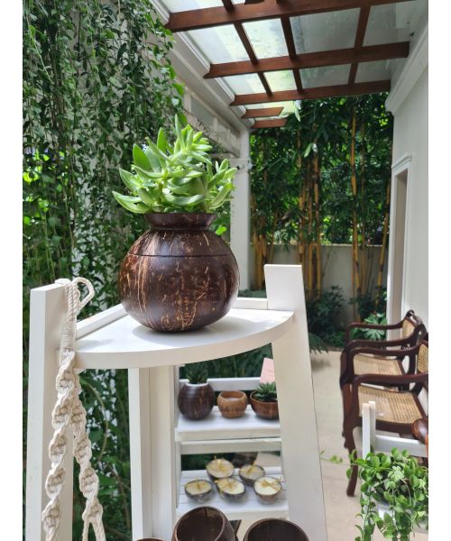 Thenga: Coconut Shell Pot Shaped Planter