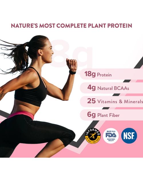 Wellbeing Nutrition: Her Superfood Plant Protein - Chocolate Peanut Butter - 30gm
