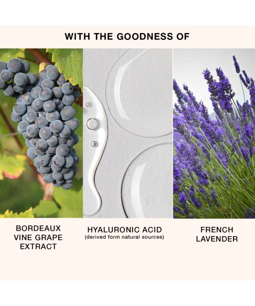SKOG: Bordeaux Vine Grape Extract Body Lotion- 201ml