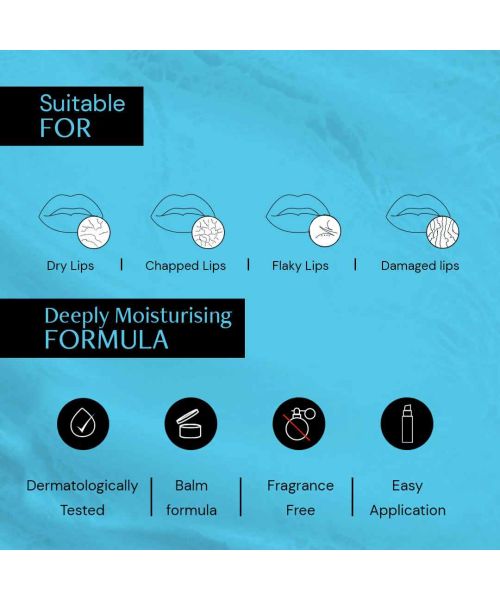 Deconstruct Skincare: Hyaluronic Acid Lip Balm for Dry and Chapped lips - 0.2% Hyaluronic Acid + 1% Cupuacu Butter - 4gm
