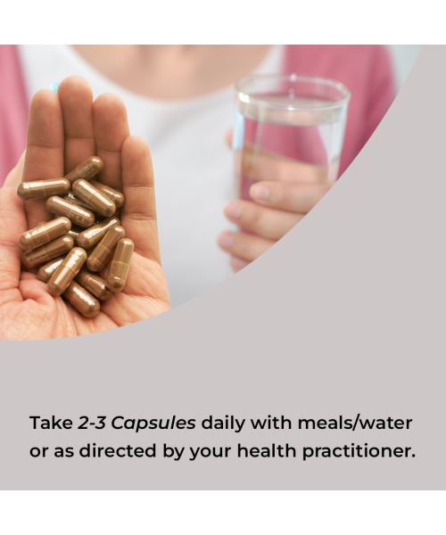 Rooted Active Naturals: Reishi mushroom Extract Powder (90 Veg Caps, 500 mg) | Heart health, Stress Relief, Liver.  supportUSDA Organic, 30% Beta Glucans