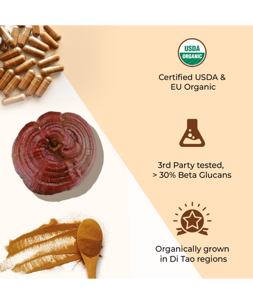 Rooted Active Naturals: Reishi mushroom Extract Powder (90 Veg Caps, 500 mg) | Heart health, Stress Relief, Liver.  supportUSDA Organic, 30% Beta Glucans