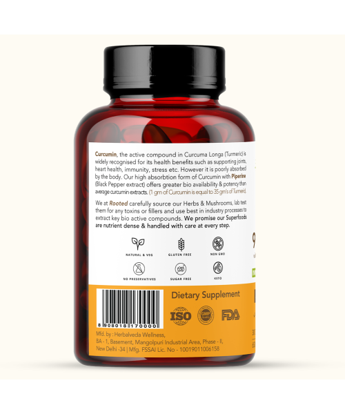 Rooted Active Naturals: Curcumin (95%) Reishi & Black pepper Extract (for better absorbtion)1300mg, for Immunity, Joints Cardio Health| 90 VEG Capsules, 500 Mg each