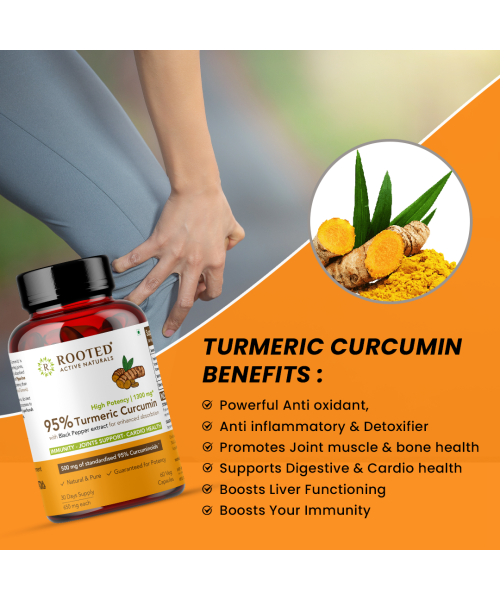 Rooted Active Naturals: Curcumin (95%) Reishi & Black pepper Extract (for better absorbtion)1300mg, for Immunity, Joints Cardio Health| 90 VEG Capsules, 500 Mg each