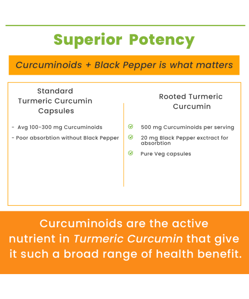 Rooted Active Naturals: Curcumin (95%) Reishi & Black pepper Extract (for better absorbtion)1300mg, for Immunity, Joints Cardio Health| 90 VEG Capsules, 500 Mg each