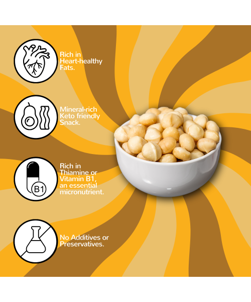 Flyberry Gourmet: Macadamia Nuts 100g | Imported From Australia| Boosts Immunity and Improves Stamina | Rich in Vitamins,Minerals, Fiber, Antioxidants and Healthy fats