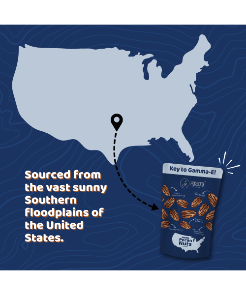 Flyberry Gourmet: Pecan Nuts 100g | Imported From US | 100% Natural | Rich in Vitamin E, Zinc and Magnesium